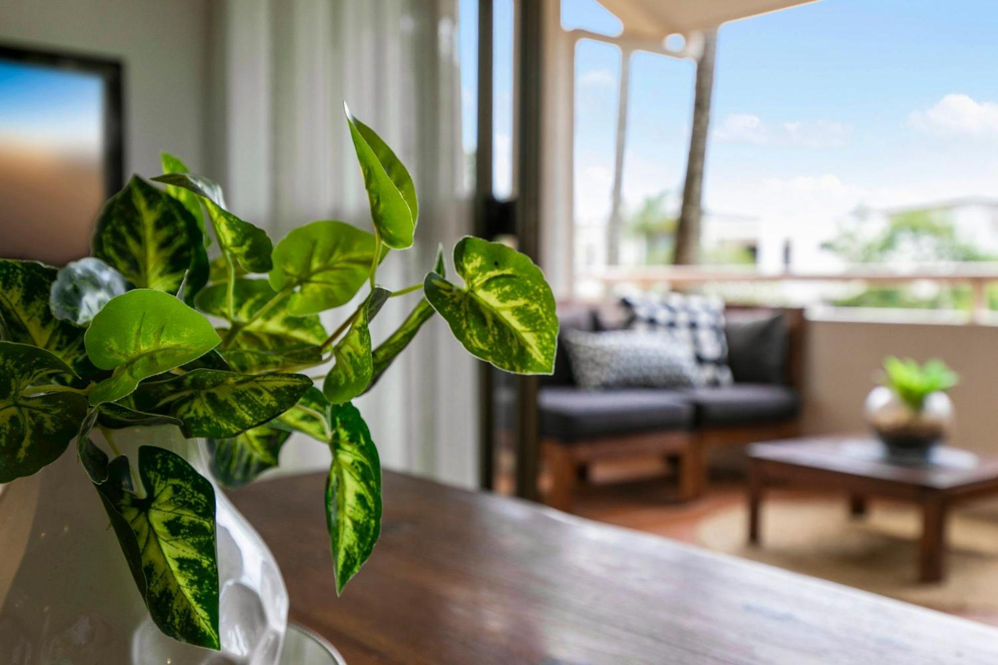 The Noosa Apartments Exteriér fotografie